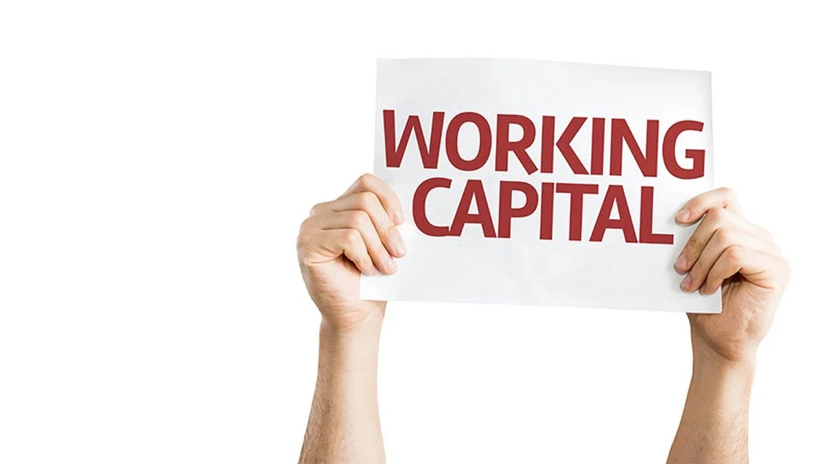 The Pulse of Your Business | Understanding Working Capital Loans